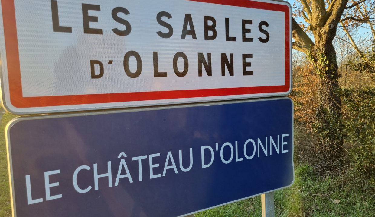 Vente terrain Château d'Olonne (85180) - 3450m2 environ