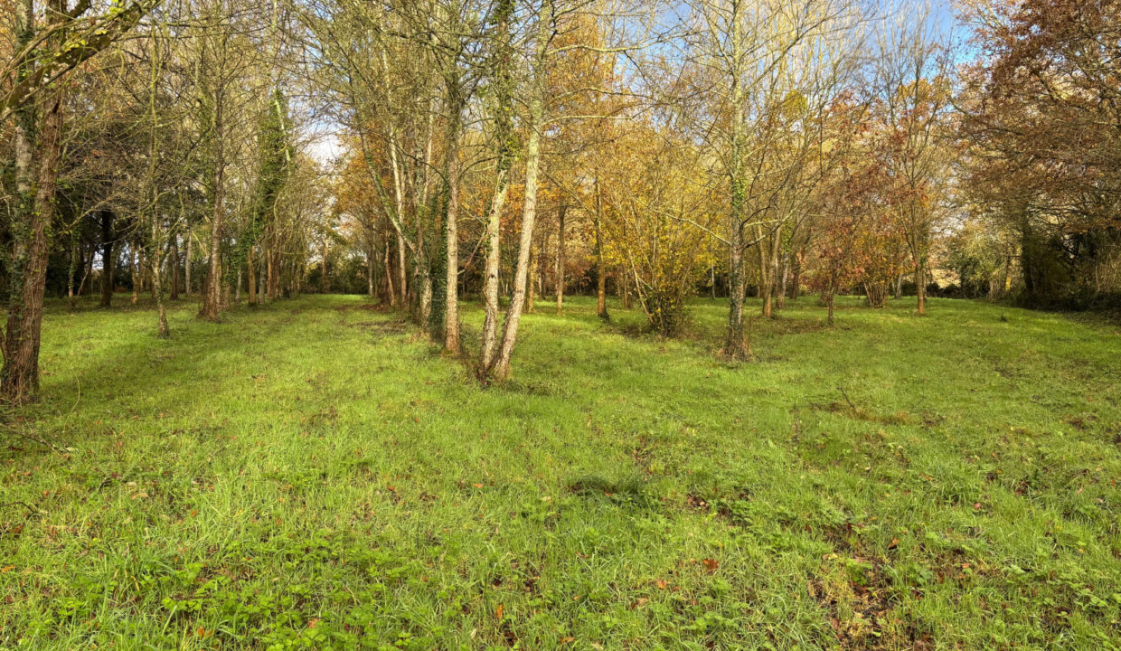 Vente terrain Saint-Avaugourd-des-Landes (85540) - 6600m2 environ