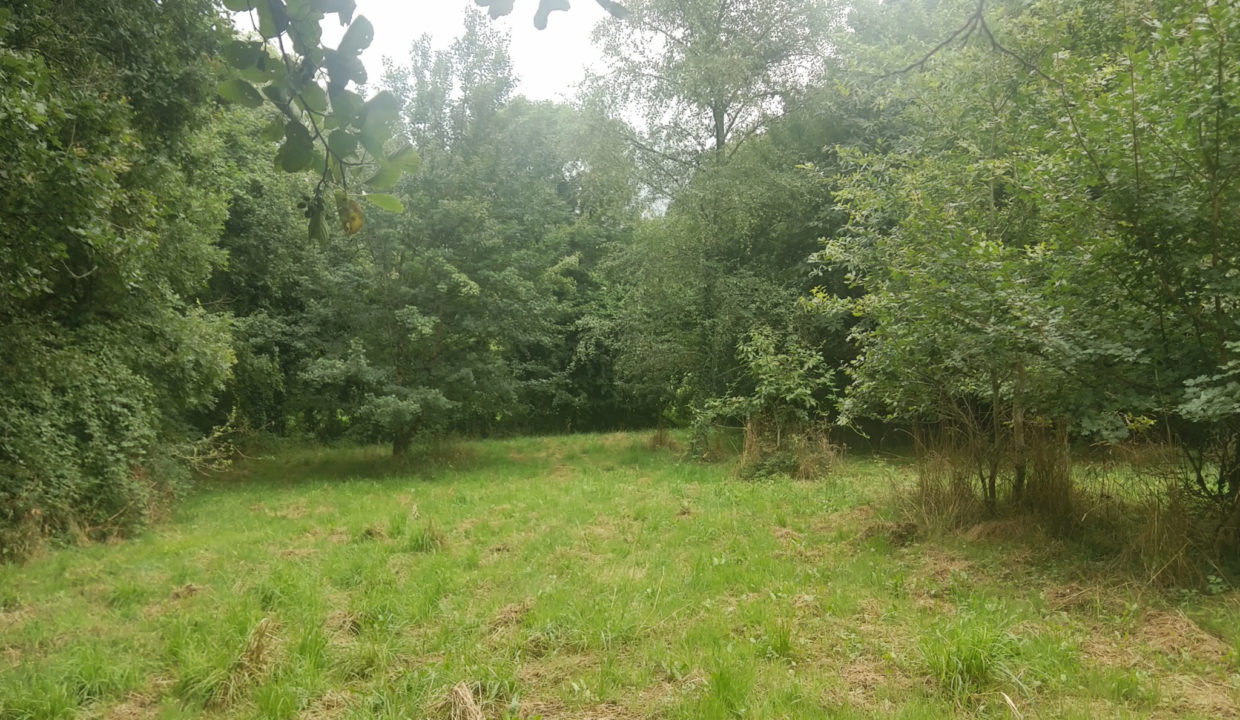 Vente terrain Saint-Avaugourd-des-Landes (85540) - 6600m2 environ