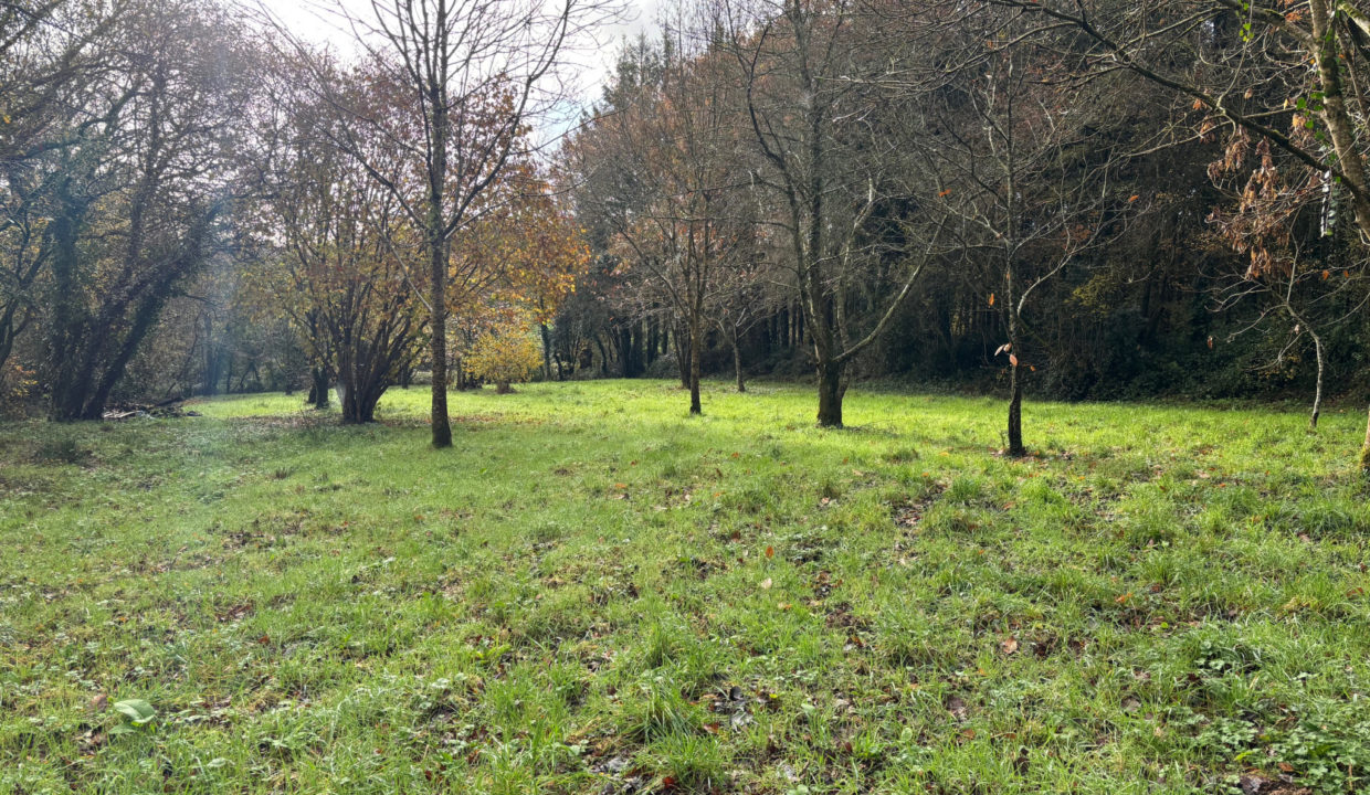 Vente terrain Saint-Avaugourd-des-Landes (85540) - 6600m2 environ