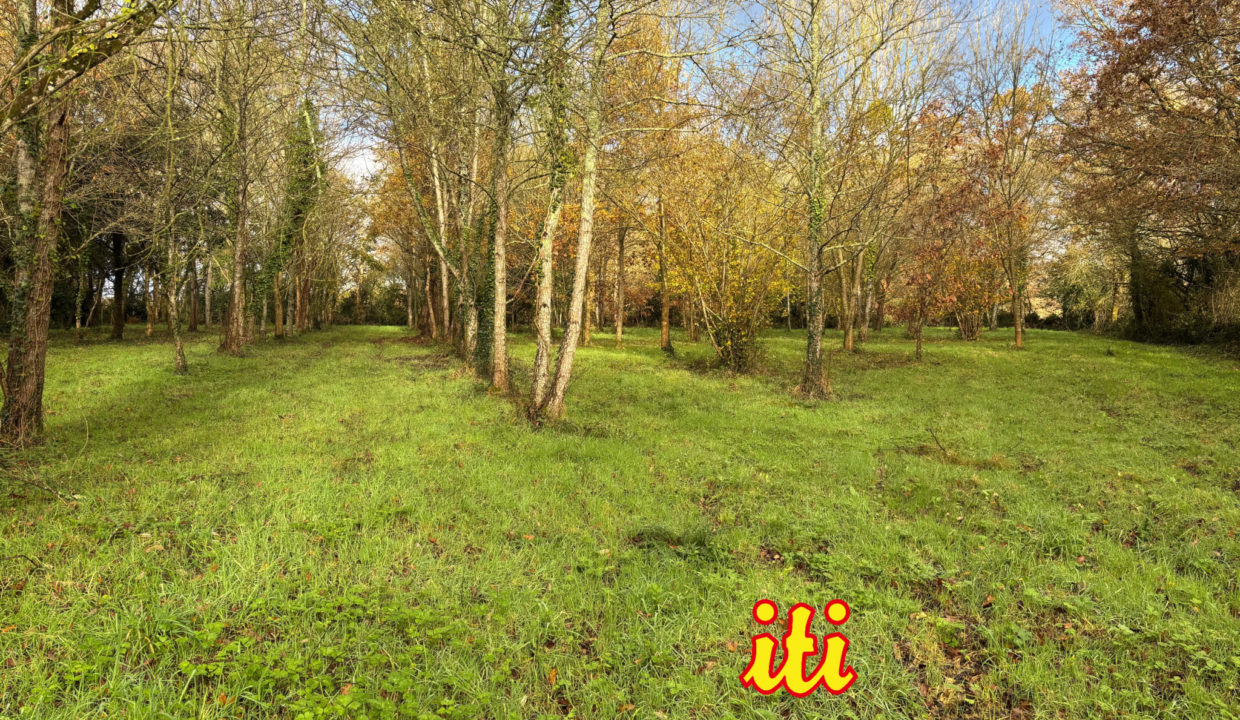 Vente terrain Saint-Avaugourd-des-Landes (85540) - 6600m2 environ